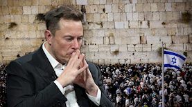 אילון מאסק, צילום: Frederic Legrand - COMEO / Shutterstock.com, Chaim Goldberg/Flash90