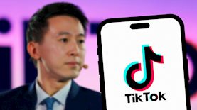 שו זי צ'ו, צילום: shutterstock