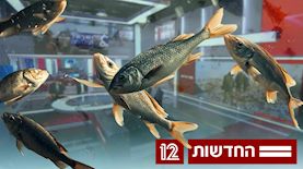 חדשות 12- אילוסטרציה AI, צילום: מסך קשת 12