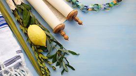 סוכות, צילום: shutterstock
