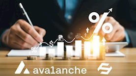 folks finance, Avalanche, צילום: shutterstock