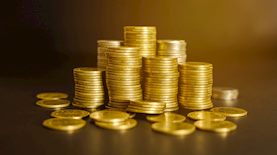 כסף, צילום: shutterstock