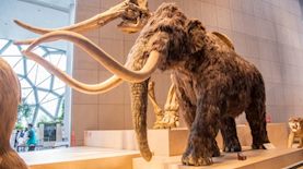 צילום: Shutterstock