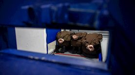 מחבלים בכלא בישראל-אילוסטרציה, צילום: פלאש 90/ חיים גולדברג