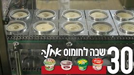 (צילומים אחיקם בן יוסף, באדיבות שטראוס)