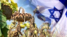 בצורת בישראל, צילום: shutterstock