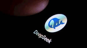 דיפסיק, צילום: shutterstock