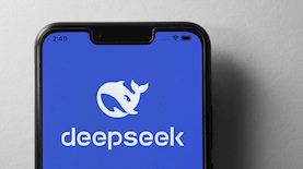 דיפסיק, צילום: shutterstock