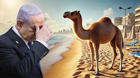 שימו לב! אסור להכניס גמלים לחופי הרצליה, צילום: אילוסטרציה ice, Tomer Appelbaum/POOL