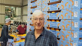 צביקה שפירר, צילום: פיני הלוי