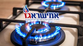 חברת אמישראגז, צילום: shutterstock