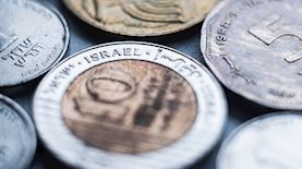 שקלים, צילום: shutterstock