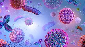 וירוס-אילוסטרציה, צילום: shutterstock