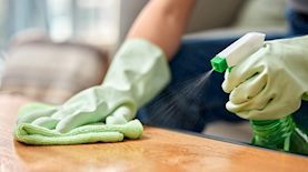 ניקיון, צילום: shutterstock