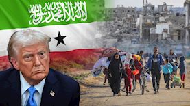 סומלילנד ומהגרים עזתים, צילום: shutterstock, פלאש 90/ עלי חסן