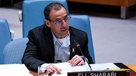 אלי שרעבי באו"ם, צילום: פלאש 90/ לירי אגמי