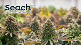 מדיקל גרופ, צילום: shutterstock