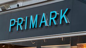 צילום: shutterstock