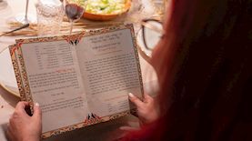 הגדת פסח, צילום: פלאש 90/ חן ליאופולד