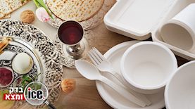 אייס בדק ומצא, צילום: shutterstock