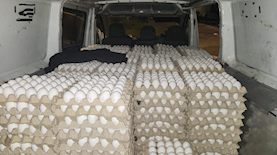 צילום: אגף הפיקוח של המועצה לענף הלול