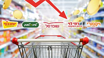 קמעונאיות המזון, צילום: shutterstock