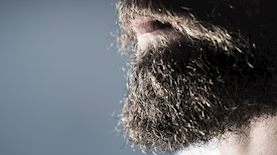 צילום: shutterstock