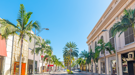 צילום: shutterstock