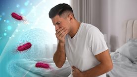 סלמונלה-אילוסטרציה, צילום: shutterstock, freepik