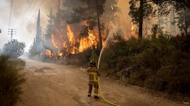 שריפה באזור אשתאול, צילום: פלאש 90/ חיים גולדברג