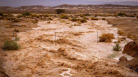 הצפות בדרום, צילום: פלאש 90/ דוד כהן