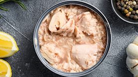 טונה, צילום: אילוסטרציה shutterstock