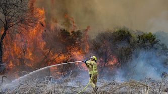 שריפות, צילום: פלאש 90/ נעם רבקין פנטון