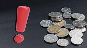 שקלים, צילום: shutterstock