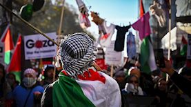 פרו פלסטינים, צילום: shutterstock