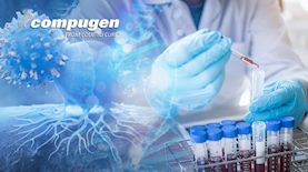 קומפיוג'ן, צילום: shutterstock