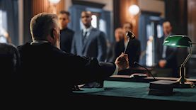 שופט-אילוסטרציה, צילום: shutterstock