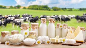 חג השבועות, צילום: shutterstock