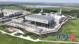 דליה אנרגיות, צילום: ויקיפדיה