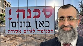 נתן אלנתן, צילום: אביגיל מטטוב, shutterstock