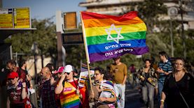 גאווה, צילום: פלאש 90/ יונתן זינדל