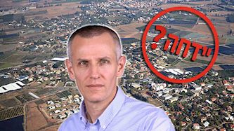 ינקי קוינט, צילום: ויקיפדיה/ מרק ניימן, לעמ