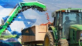 חקלאות, תוצרת ישראלית-אילוסטרציה, צילום: פלאש 90/ אייל מרגולין, shutterstock