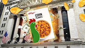 קלוגס, צילום: shutterstock