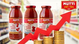 MUTTI, צילום: shutterstock