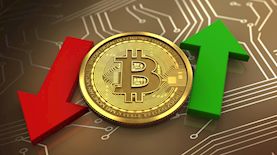 ביטקוין, צילום: shutterstock