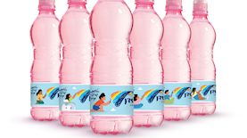 בקבוקים ורודים, צילום: יחצ