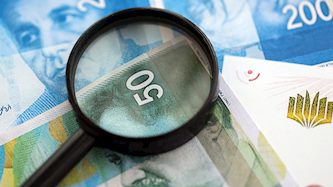 שקלים, צילום: shutterstock