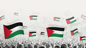 הפגנות פרו פלסטיניות, צילום: shutterstock