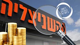 רשת השניצליה, צילום: פייסבוק/ רשת השניצליה, shutterstock